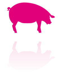 ADIAVET™ Swine